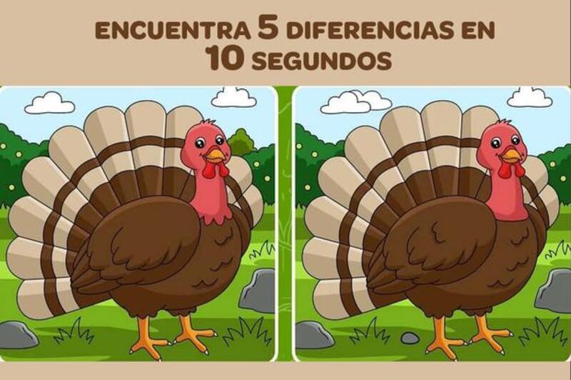 Encuentra las diferencias de la imagen.