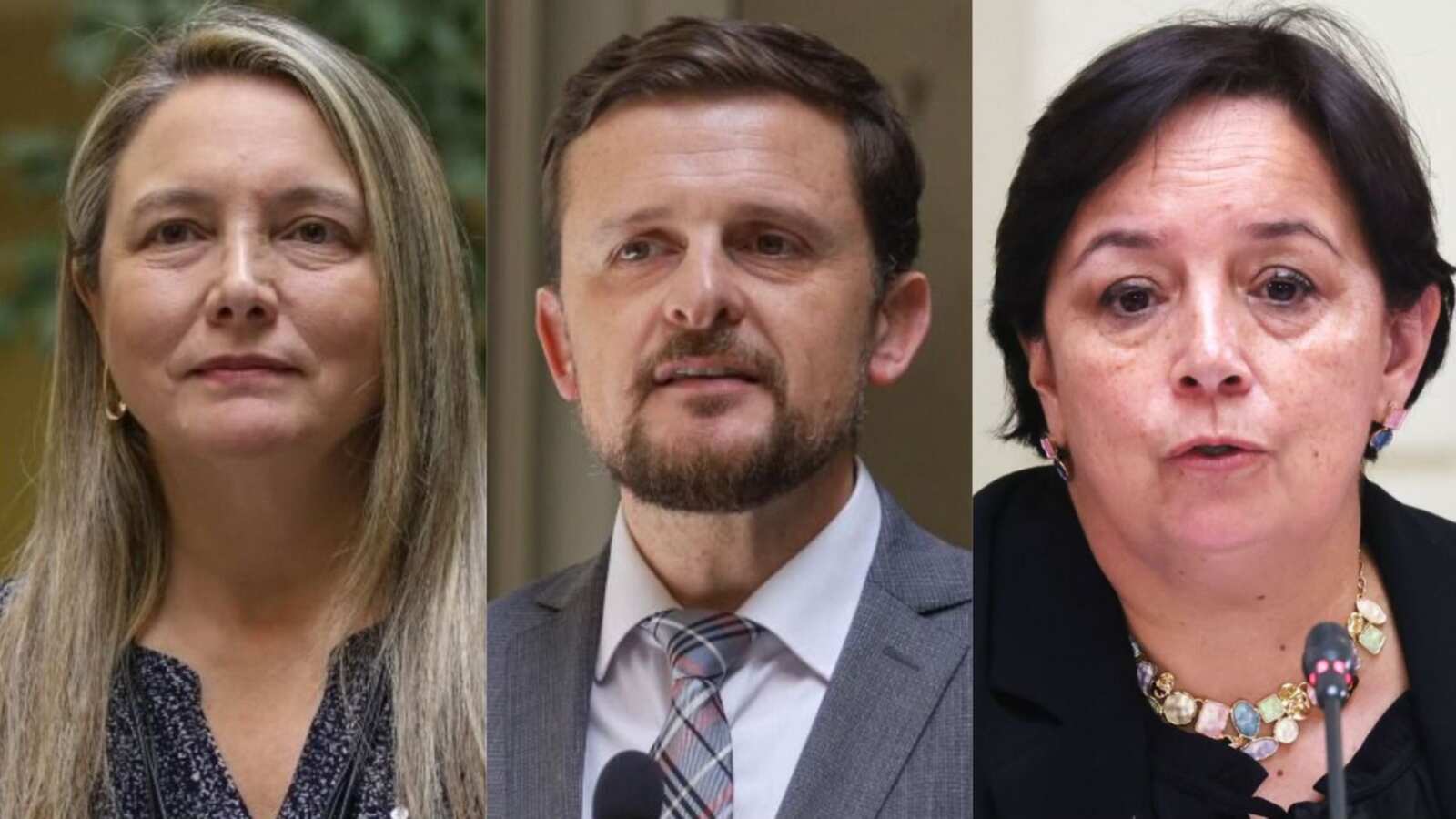 Parlamentarios Carmen Gloria Aravena, Stephan Schubert y Catalina Del Real