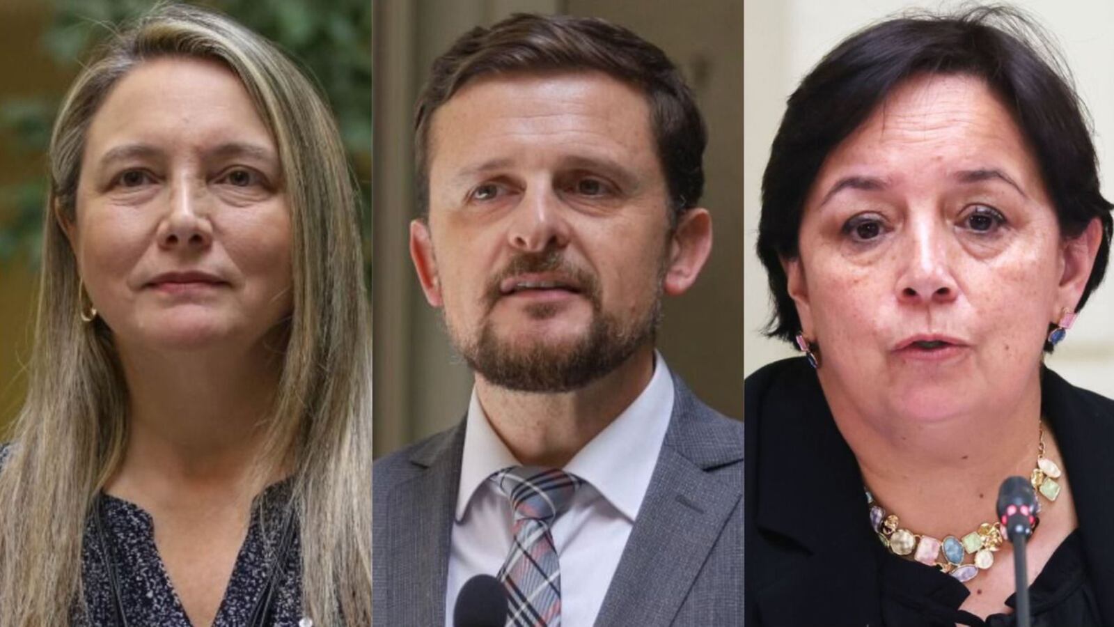 Parlamentarios Carmen Gloria Aravena, Stephan Schubert y Catalina Del Real