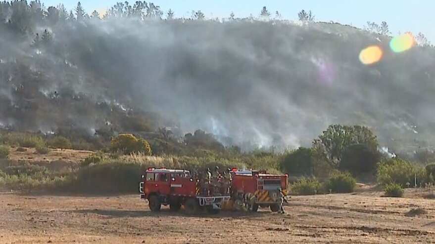 Incendio en Concón, captura TVN, 24 Horas