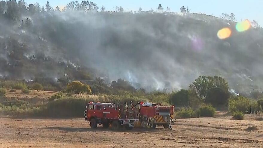 Incendio en Concón, captura TVN, 24 Horas