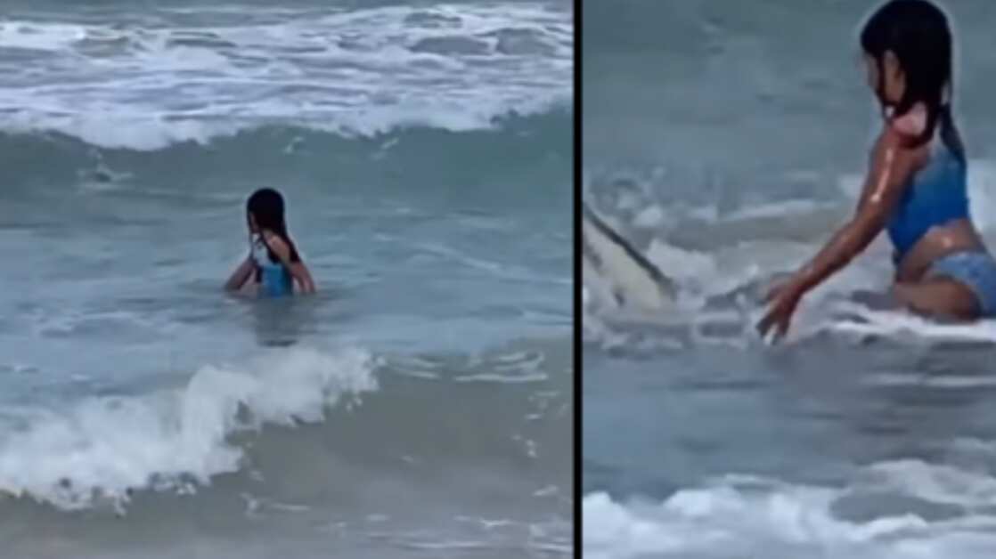 Tiburón ataque niña