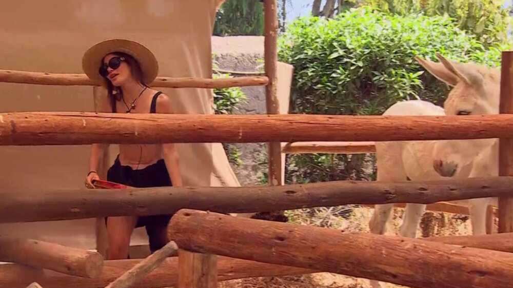 Fran Undurraga | Gentileza: Canal 13