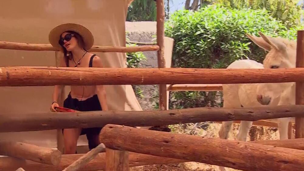 Fran Undurraga | Gentileza: Canal 13