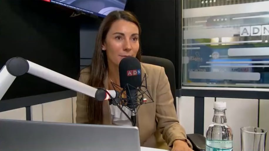 La ministra de Educación se refirió a la gratuidad y a los deudores del CAE