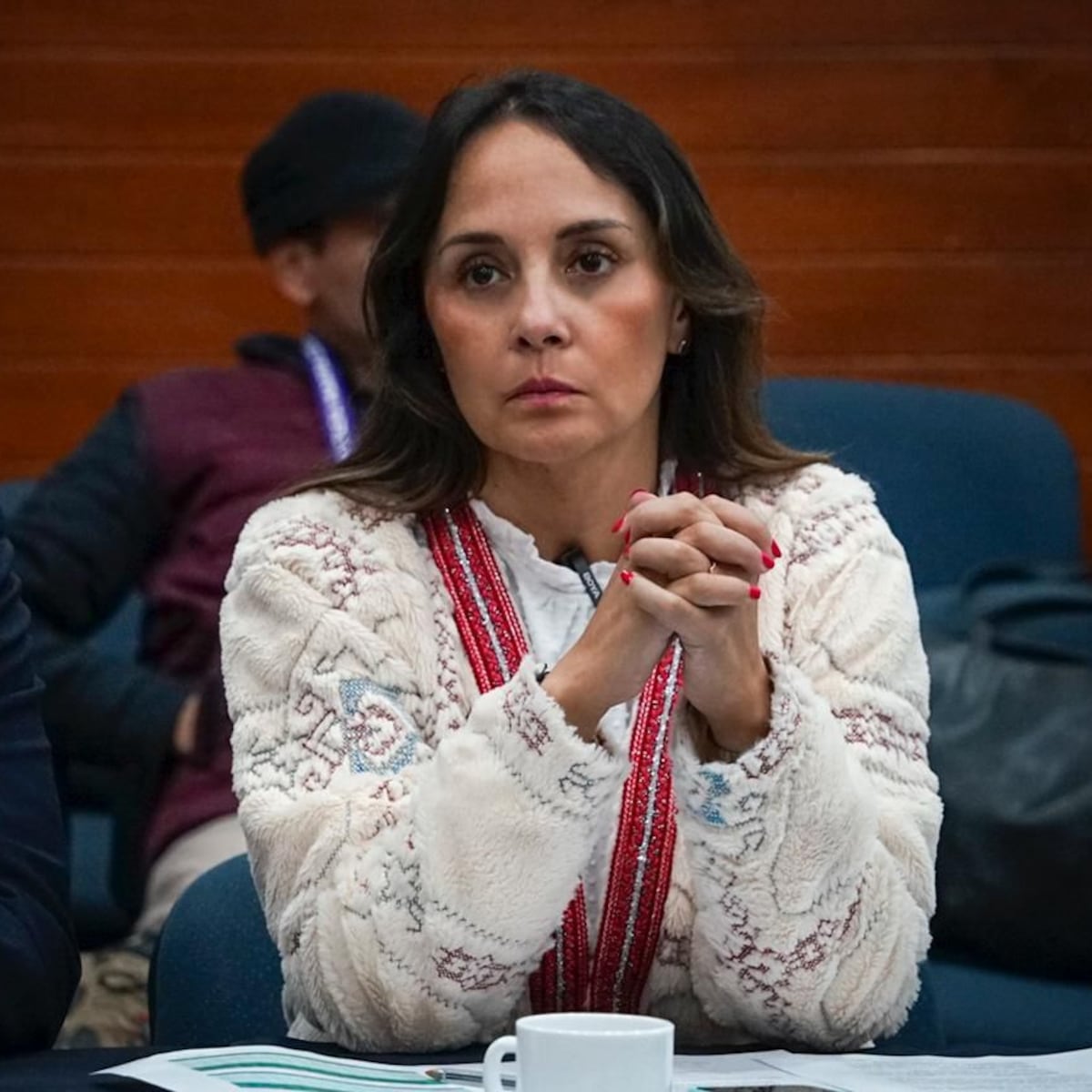 Proyecto de diputada Morales: inhabilitar a condenados por delitos contra la probidad Proyecto de diputada Morales: inhabilitar a condenados por delitos contra la probidad