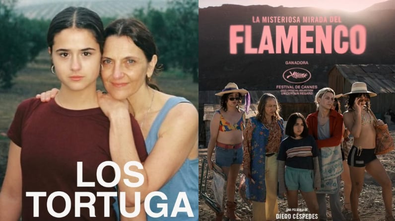 "Los Tortuga" y "La misteriosa mirada del flamenco" | Fuente: Instagram @oberon_media @bteampictures