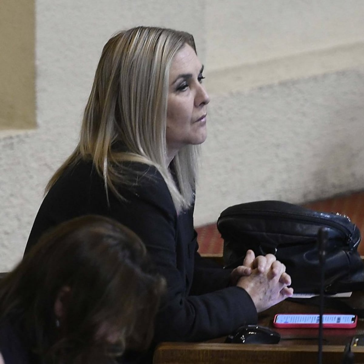 Partido de la Gente: Parisi pierde a todos sus diputados Partido de la Gente: Parisi pierde a todos sus diputados