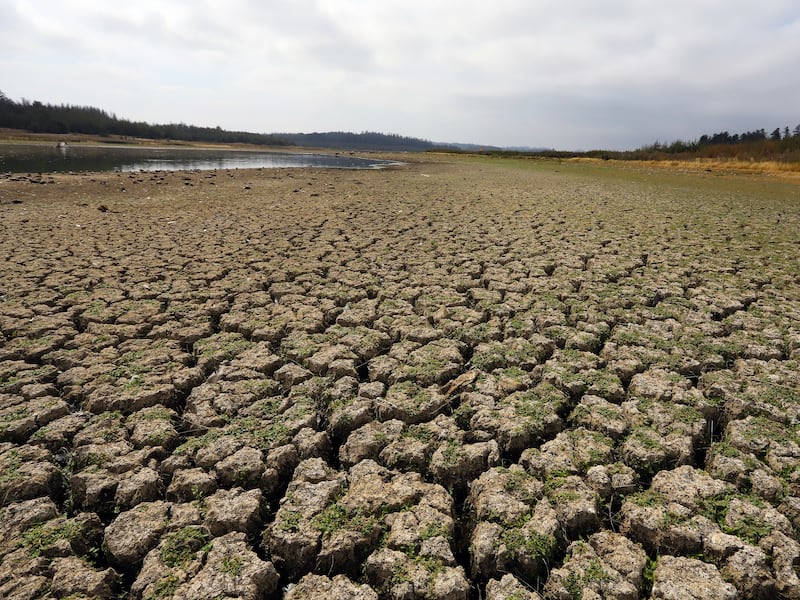 Llegada del fenómeno de La Niña anticipa otro año de sequía para Chile
