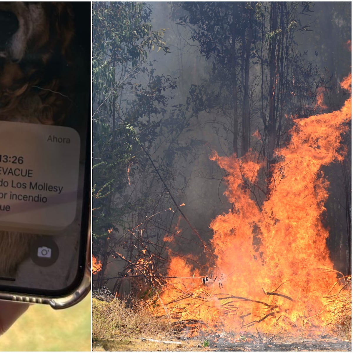 Se emiten seis alertas SAE por incendio en Quilpué Se emiten seis alertas SAE por incendio en Quilpué