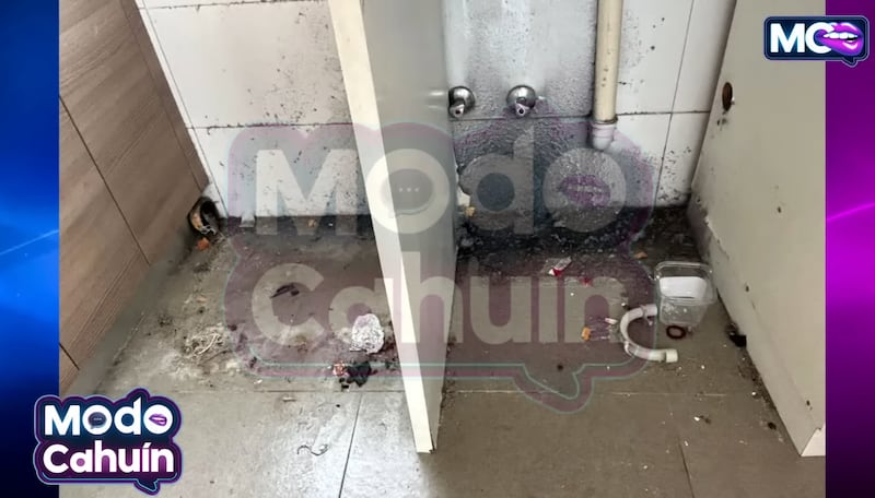 Departamento de Andrea Marocchino y Pancha Merino | Captura: Modo Cahuín