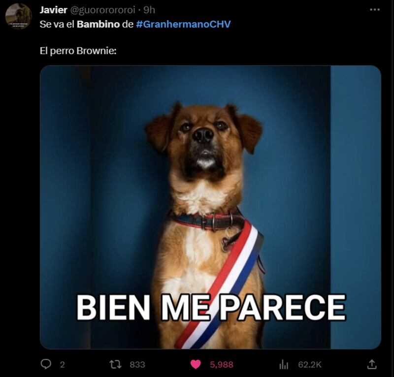 Meme salida de "Bambino" | Twitter