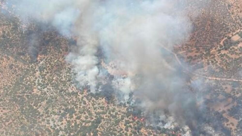 Incendio forestal Curacaví - Fuente: CONAF