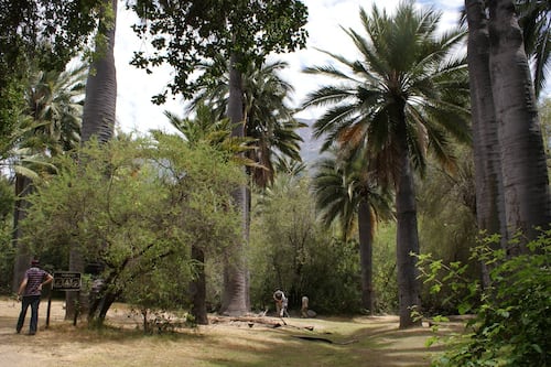 Parques nacionales: estos son los que están abiertos y sus restricciones