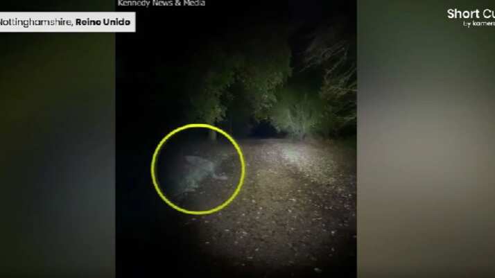 Este clip se hizo viral en Facebook