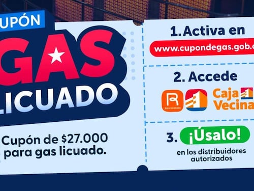 Venta de cupones de gas: El Gobierno admite irregularidades pero descarta denuncias inmediatas
