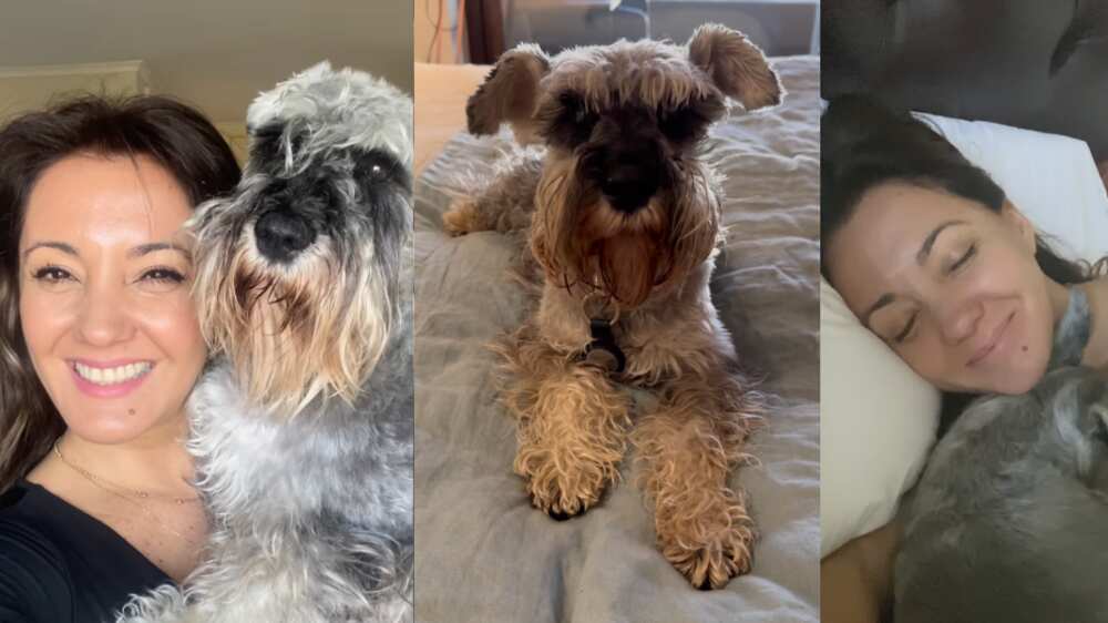 Priscilla Vargas y su perro Romeo | Fuente: Instagram