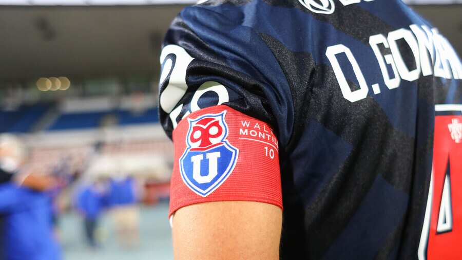 La jineta de capitán de la U busca dueño