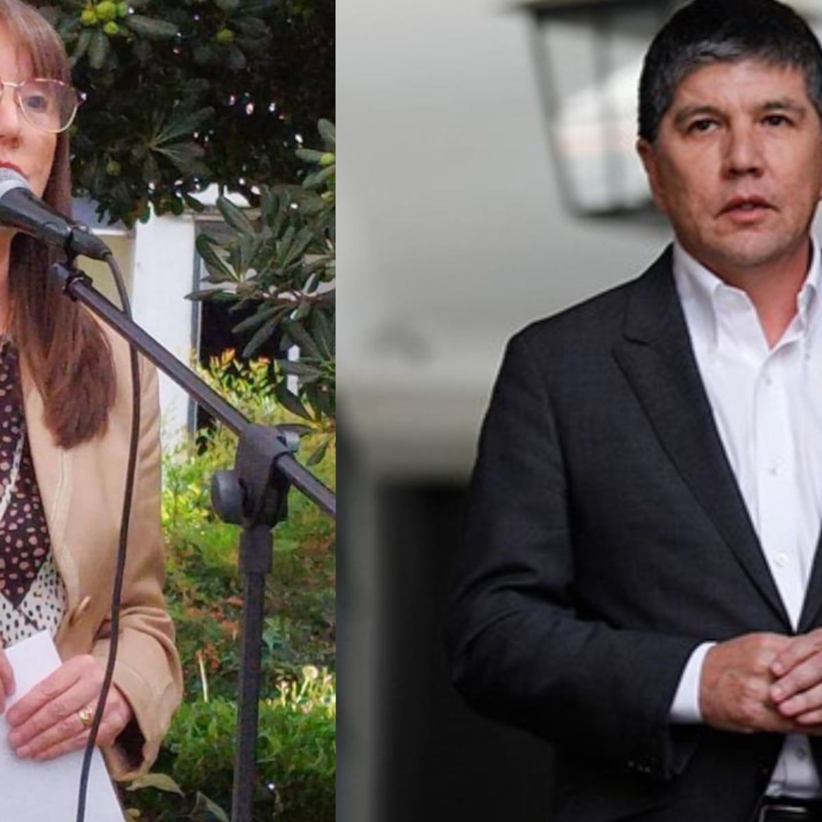 Hermana de Manuel Monsalve renuncia a cargo en Superintendencia de Salud Hermana de Manuel Monsalve renuncia a cargo en Superintendencia de Salud