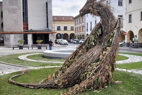 Cuando las ramas se convierten en esculturas vivientes