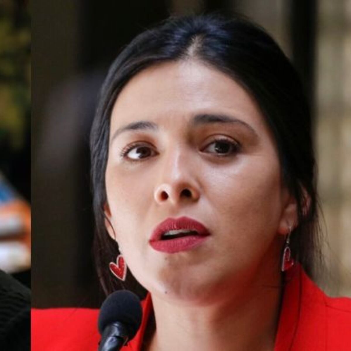 Evelyn Matthei respalda allanamiento a Karol Cariola en día de parto Evelyn Matthei respalda allanamiento a Karol Cariola en día de parto