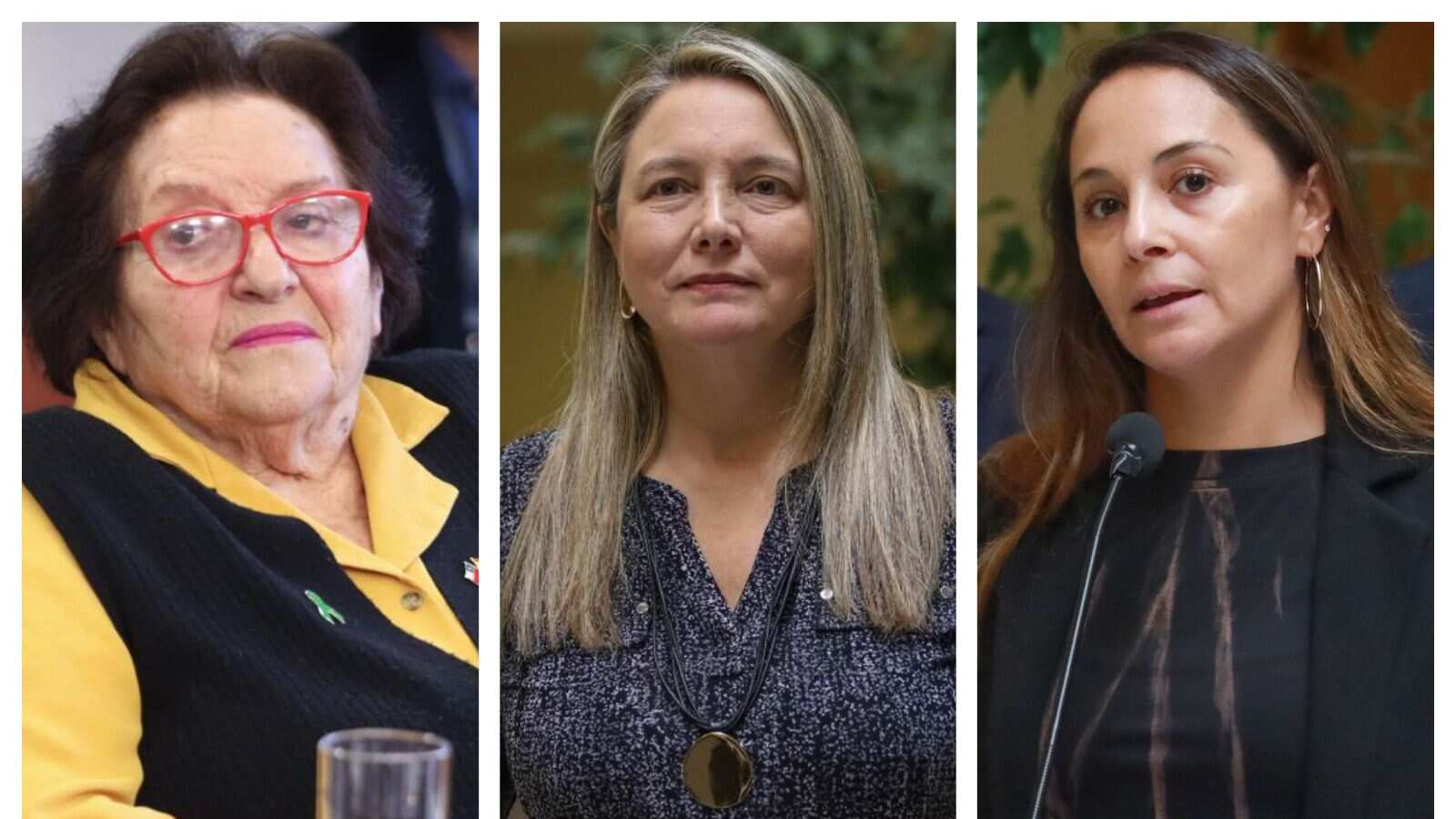 Tras crimen en Barrio Bellavista: Diputadas de oposición proponen anillos perimetrales en zonas gastronómicas y de entretención nocturna de la RM