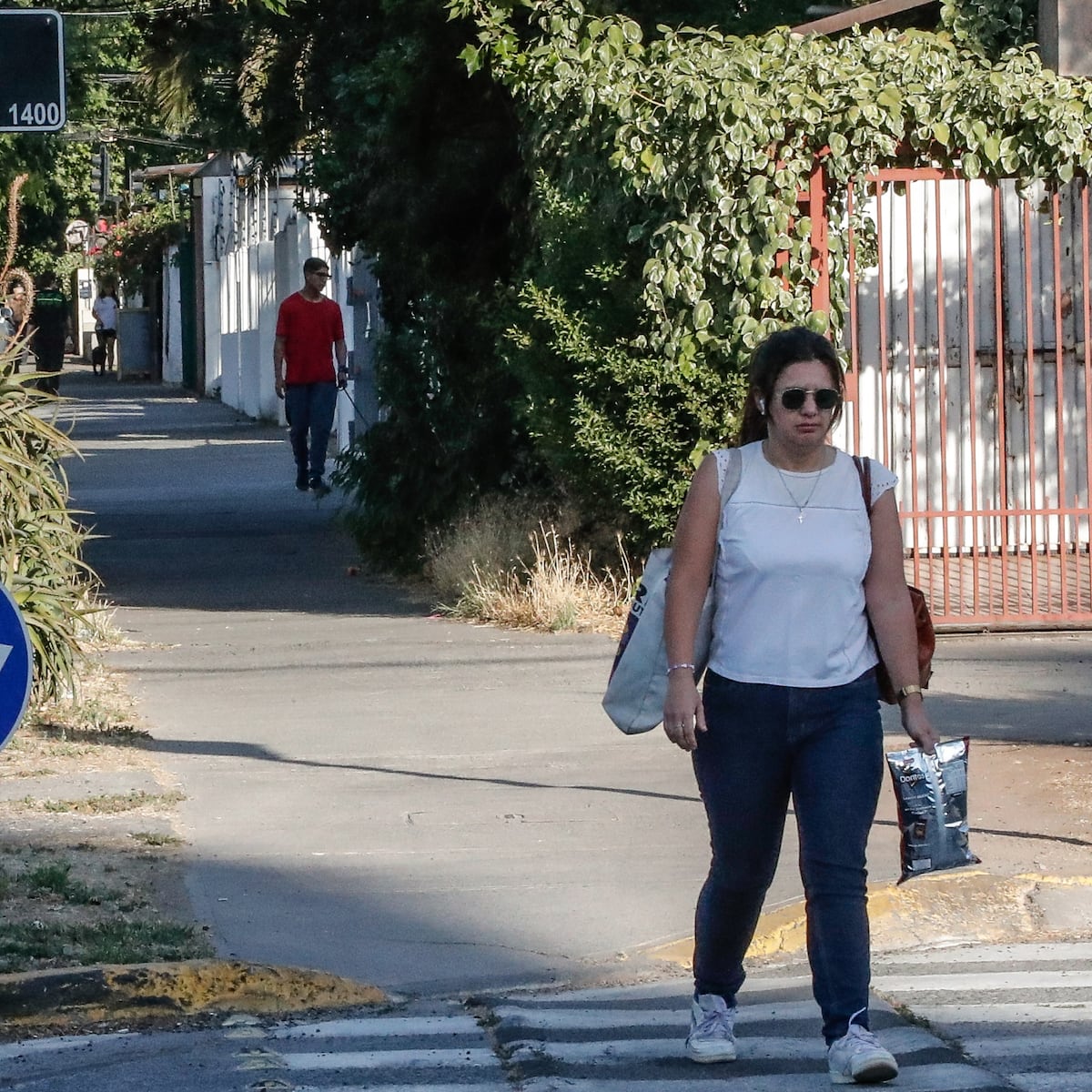 Sichel critica cambio de nombre en Ñuñoa por concejo saliente Sichel critica cambio de nombre en Ñuñoa por concejo saliente