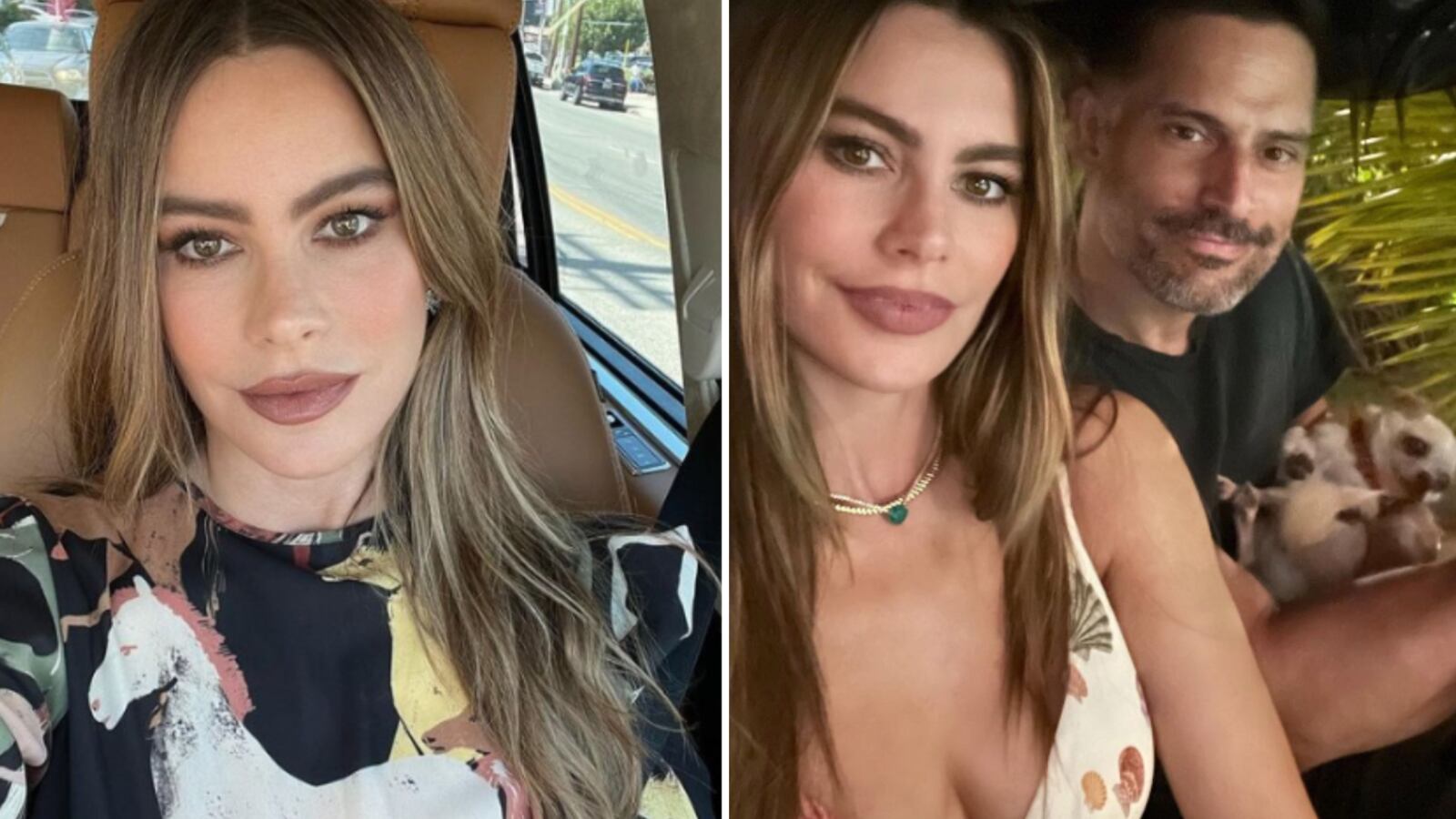 Sofia Vergara y Joe Manganiello