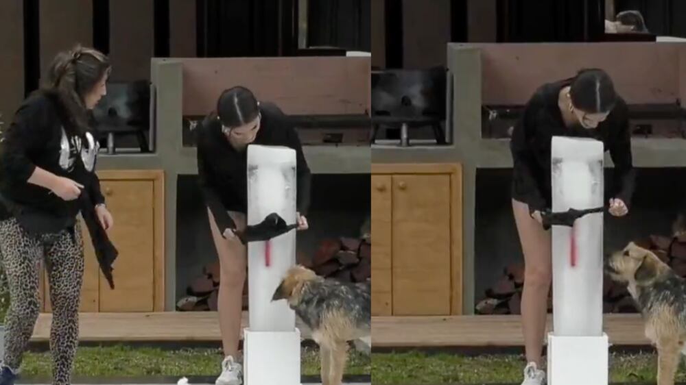 Constanza y Bigote de Gran Hermano | Captura: CHV y Twitter