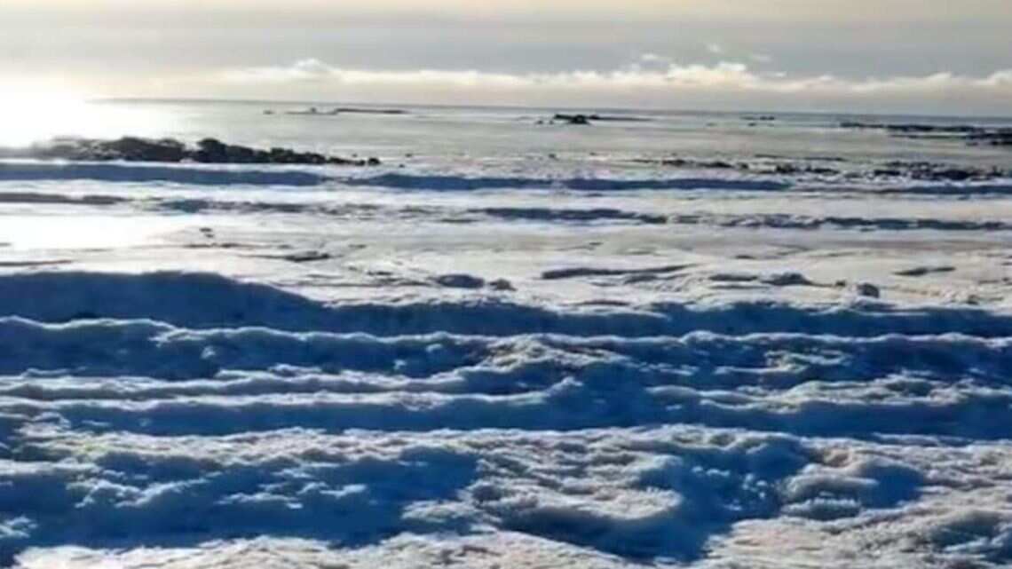 Sin duda un espectáculo visual, pero también un verdadero fenómeno de la naturaleza. Eso fue lo ocurrido en Tierra del Fuego donde las bajas temperaturas convirtieron en hielo las olas del mar, quedado, literalmente, congelado y sus movimientos constantes, detenidos en el tiempo.