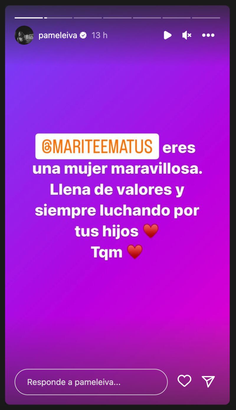 Historia de Pamela Leiva | Fuente: Instagram