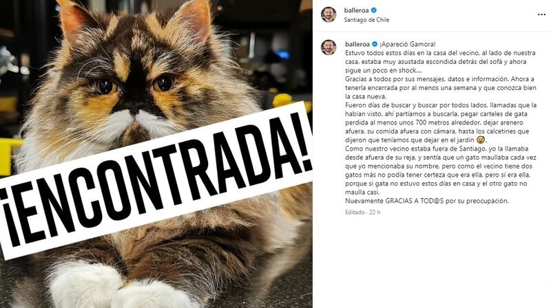 El otrora ganador de "Protagonistas de la fama" dio cuenta del hallazgo de su gata en sus redes sociales.