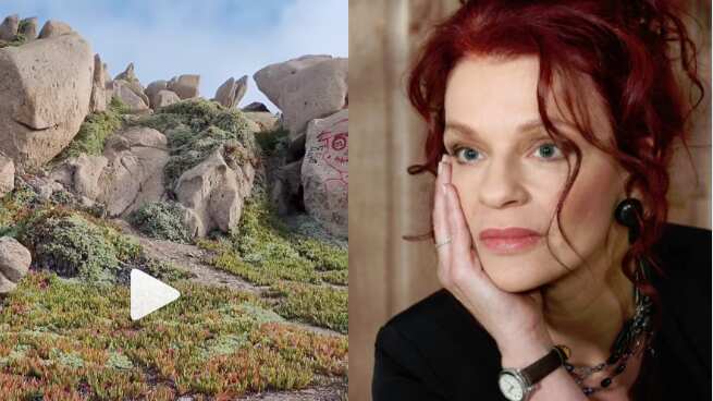 La actriz Magdalena Max-Neef llamó la atención de la web tras compartir su molestia luego de visitar Punta de Tralca y ver el sector de El Quisco con piedras rayadas.