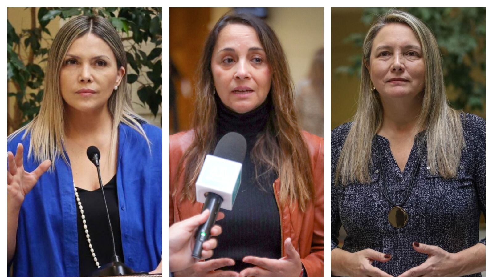 Diputadas de Oposición llaman a mejorar la fiscalización tras alza de la cuota de inclusión laboral para personas con discapacidad