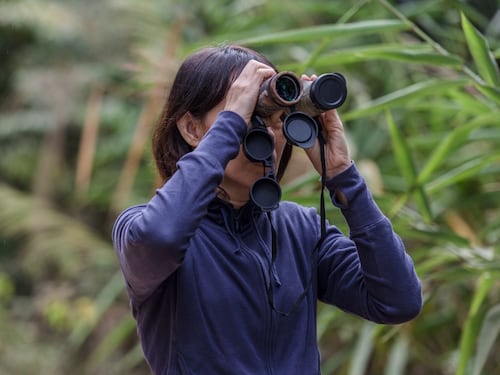Estos son algunos de los destinos en Latinoamérica para los amantes de las aves y Ecuador es uno de ellos