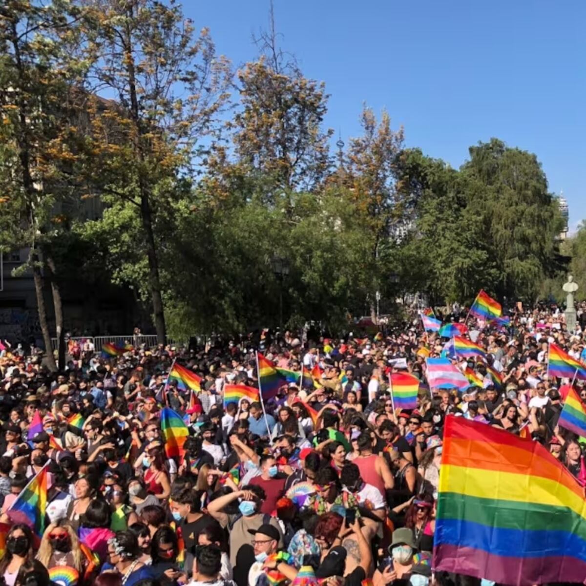 Alarmante aumento de la homofobia y transfobia en Valparaíso Alarmante aumento de la homofobia y transfobia en Valparaíso