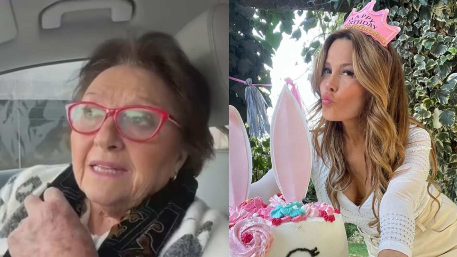 Diputada María Luisa Cordero