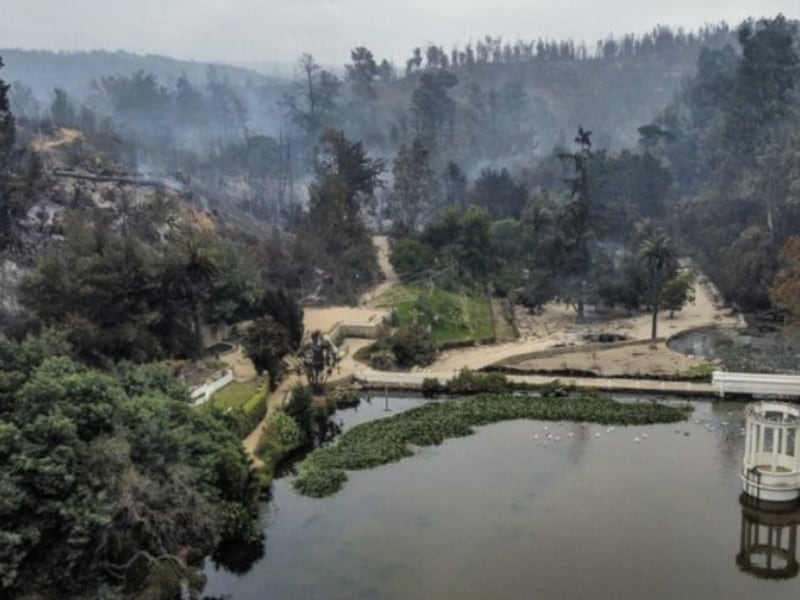 Jardín Botánico reabrirá de forma gradual luego de dos meses del incendio en Viña del Mar
