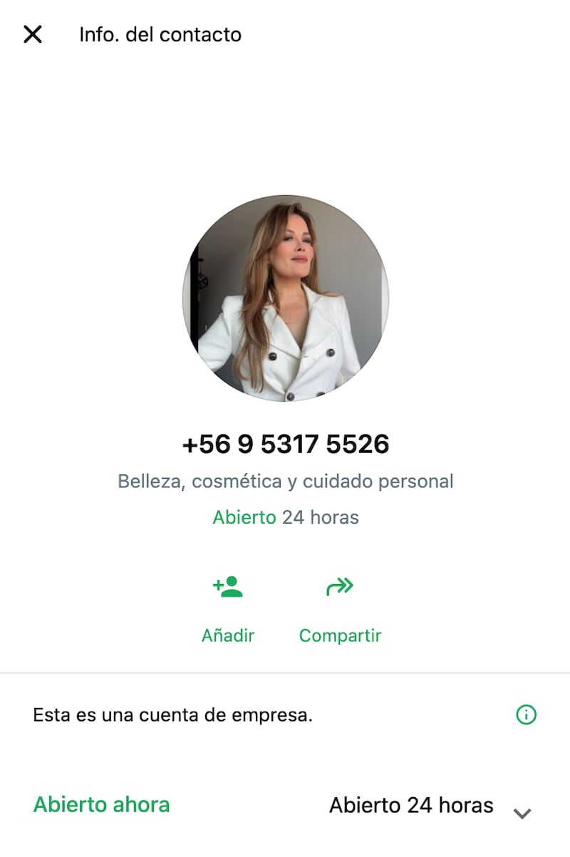Chat de empresa de Cathy Barriga | Fuente: WhatsApp Web