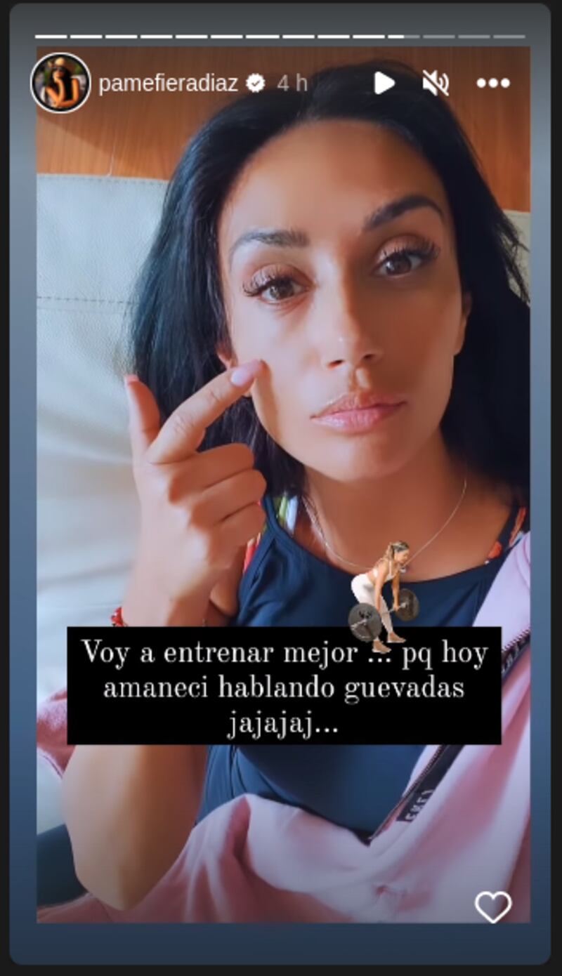 Pamela Díaz - Historias - Fuente: Instagram