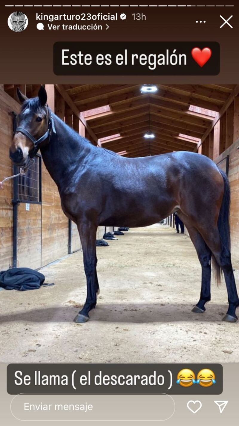 Caballo de Arturo Vidal