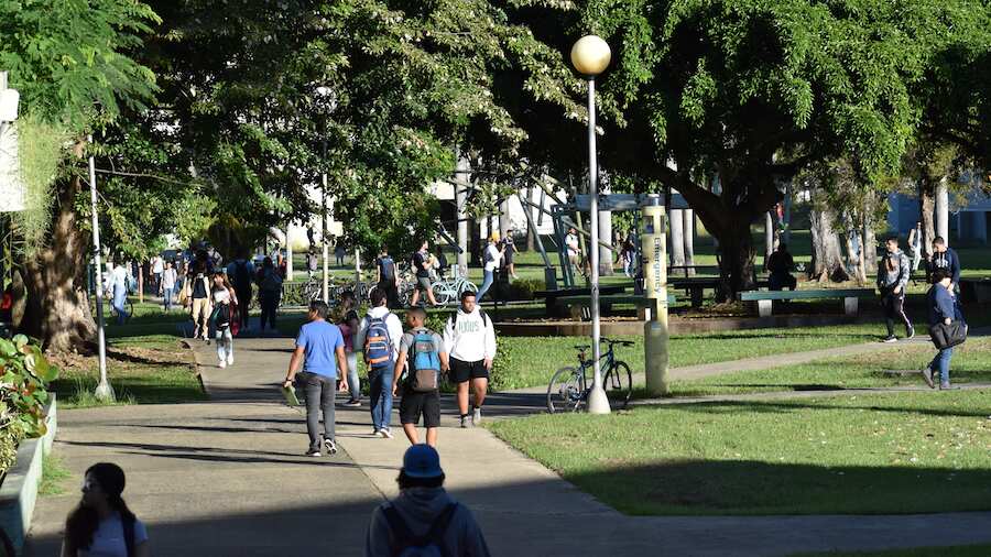 El campus de la Universidad de Puerto Rico en Mayagüez.