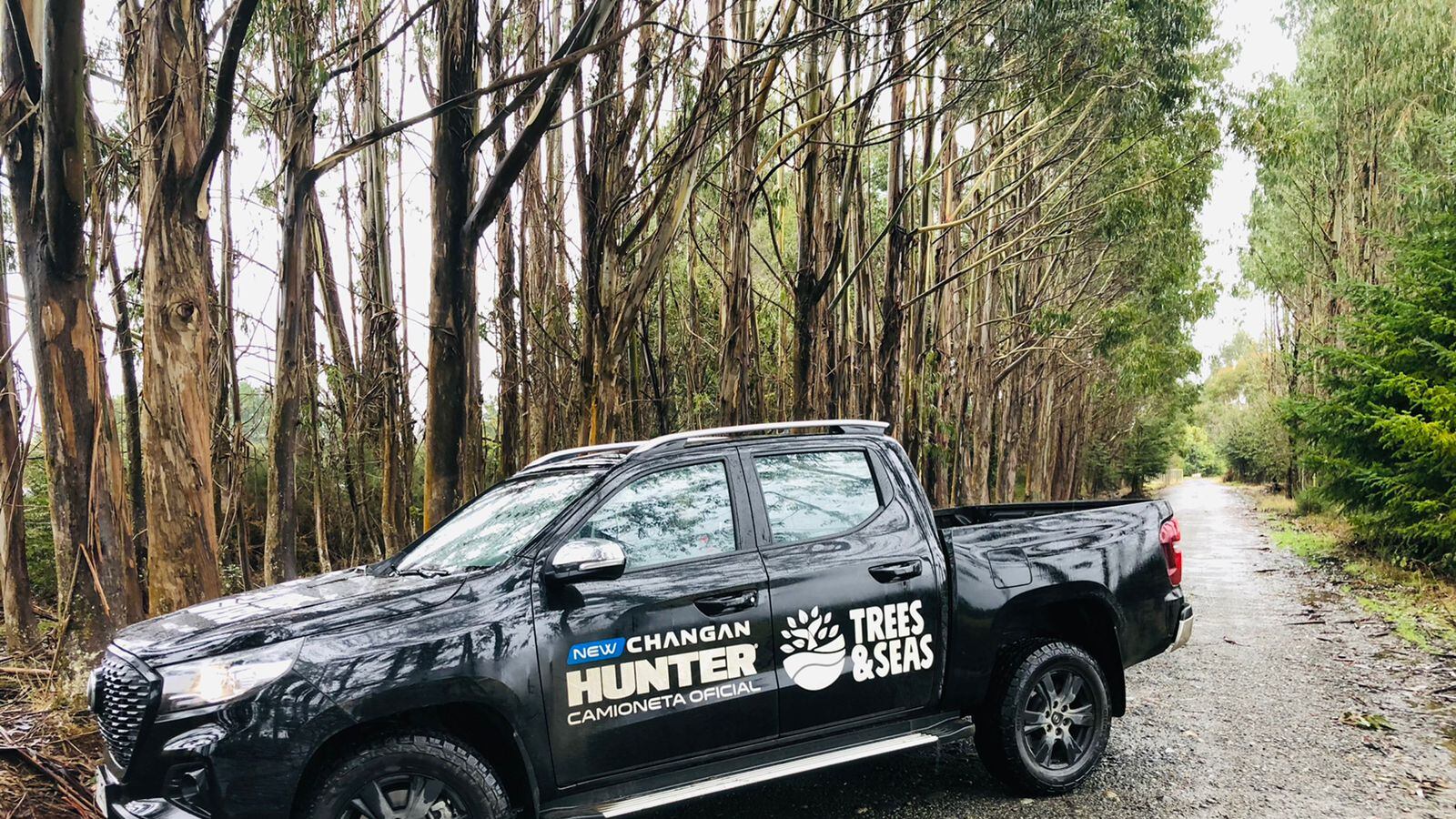 Changan Hunter Festival Trees & Seas