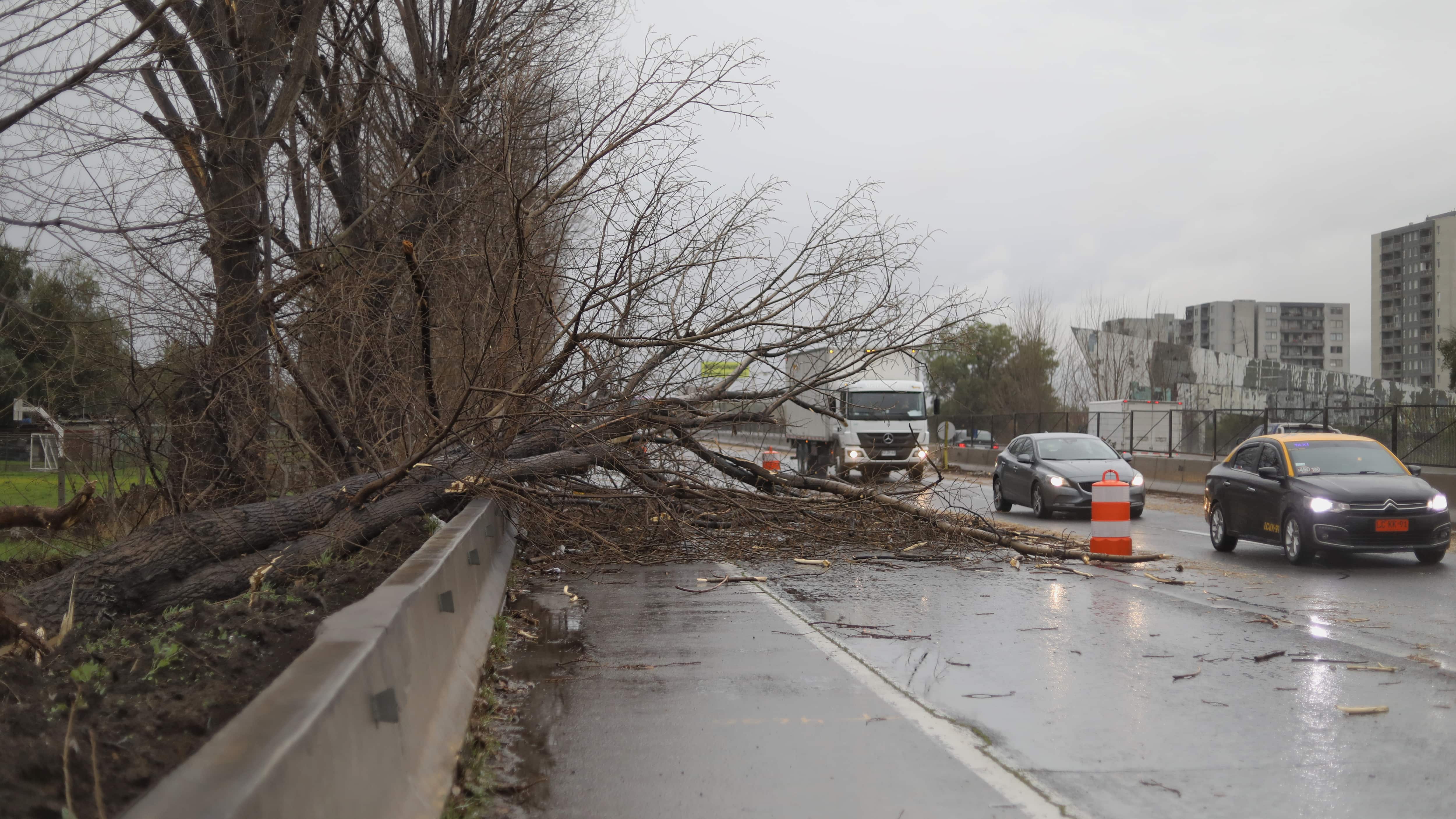 Estragos del sistema frontal en la RM