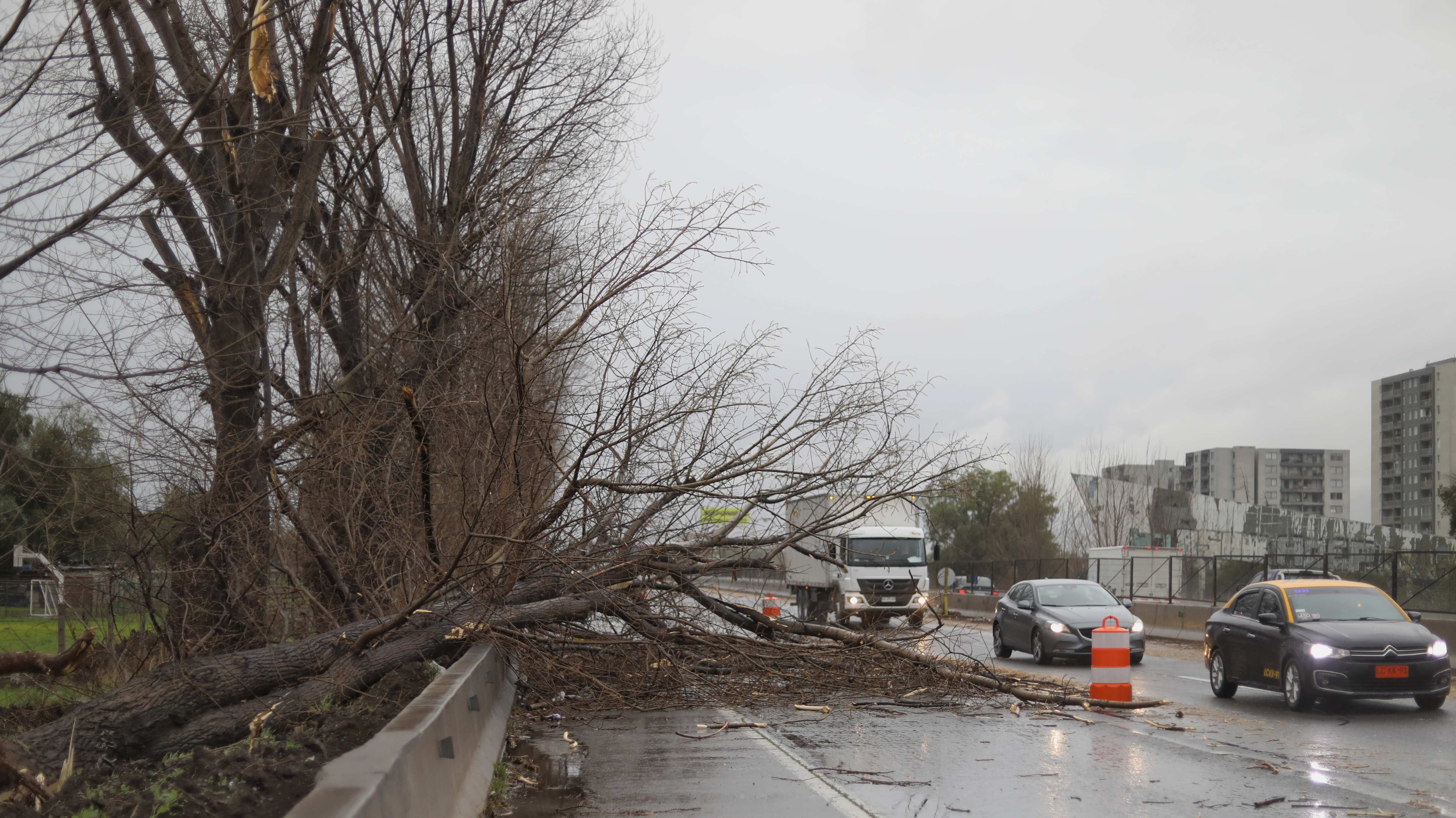 Estragos del sistema frontal en la RM