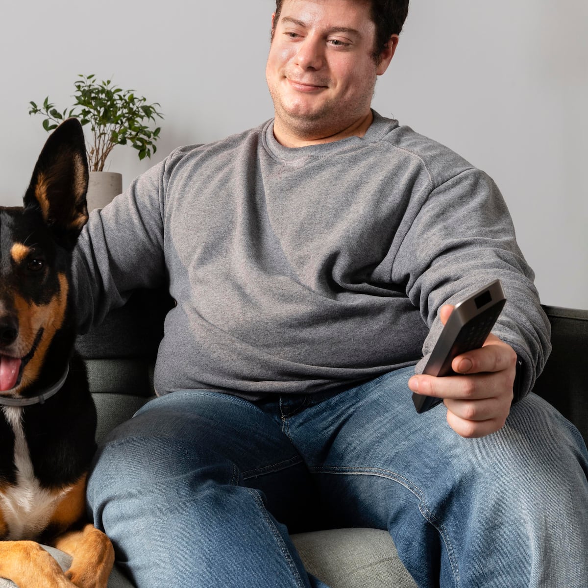 Perros y televisión: ¿Les gusta verla? Perros y televisión: ¿Les gusta verla?