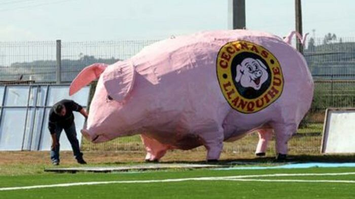 ¡Atención futboleros!: Reapareció el mítico “Chancho Lorenzo” de Deportes Puerto Montt