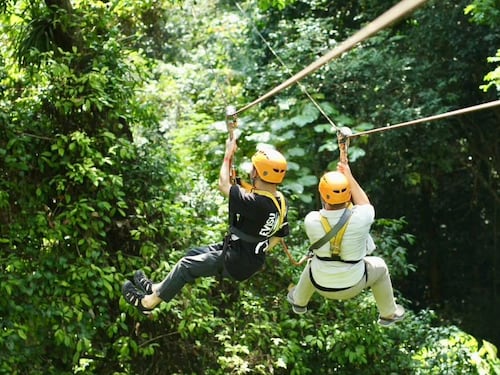 Tragedia en Laos: Dos estadounidenses mueren tras ataque de avispas mientras practicaban tirolesa