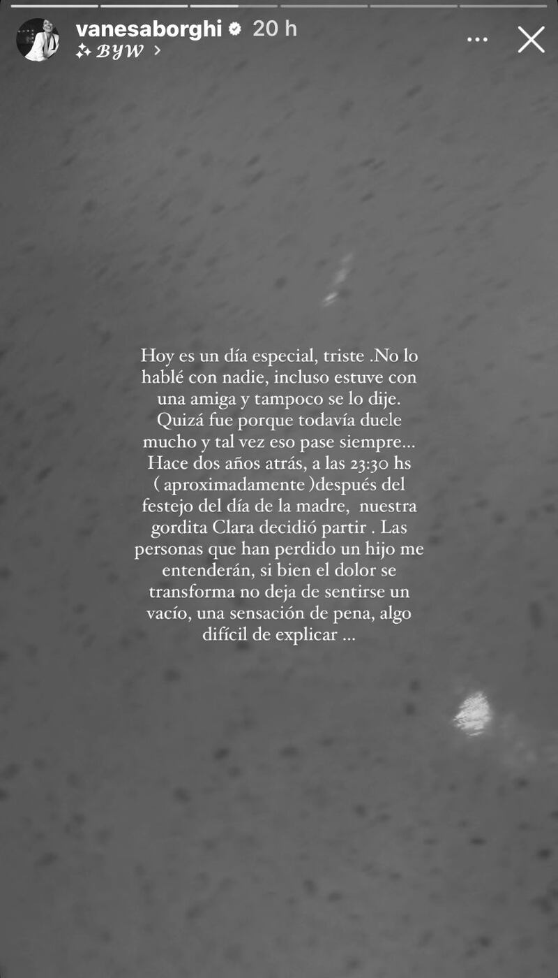 Historia de Vanesa Borghi