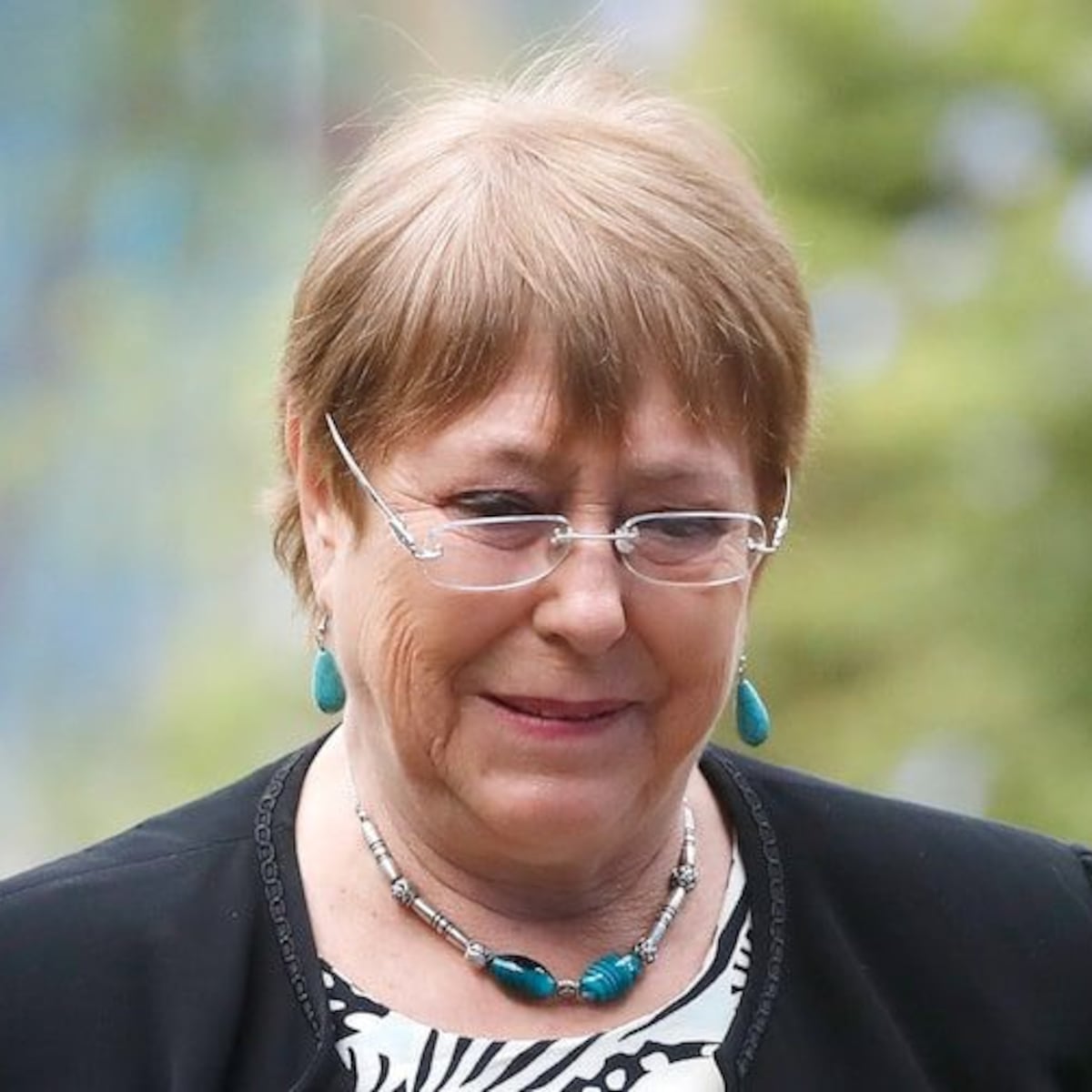 Bachelet alerta sobre la rabia en Chile Bachelet alerta sobre la rabia en Chile